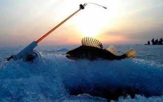 Зимние блесны на судака: их модификации, выбор блеснильника