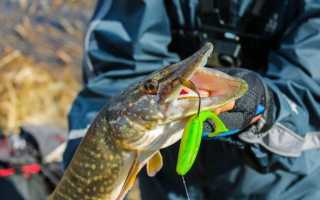 Обзор воблера Deps Balisong Minnow 130 SP. Отзывы рыболовов о воблере Депс Балисонг 100