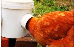 Кормушки оснащёнки