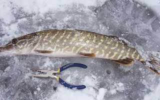 Характеристика и особенности самостоятельного изготовления зевника