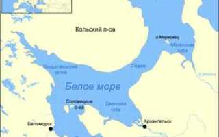Какому океану относится белое море ответ