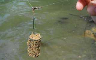 Ловля язя на поплавок